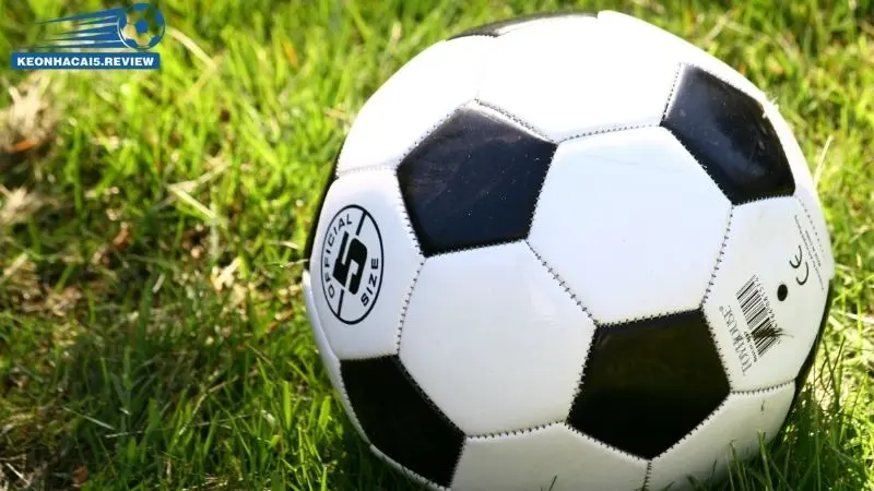 Ý nghĩa của việc tính biên lợi nhuận đối với nhà cái và người chơi